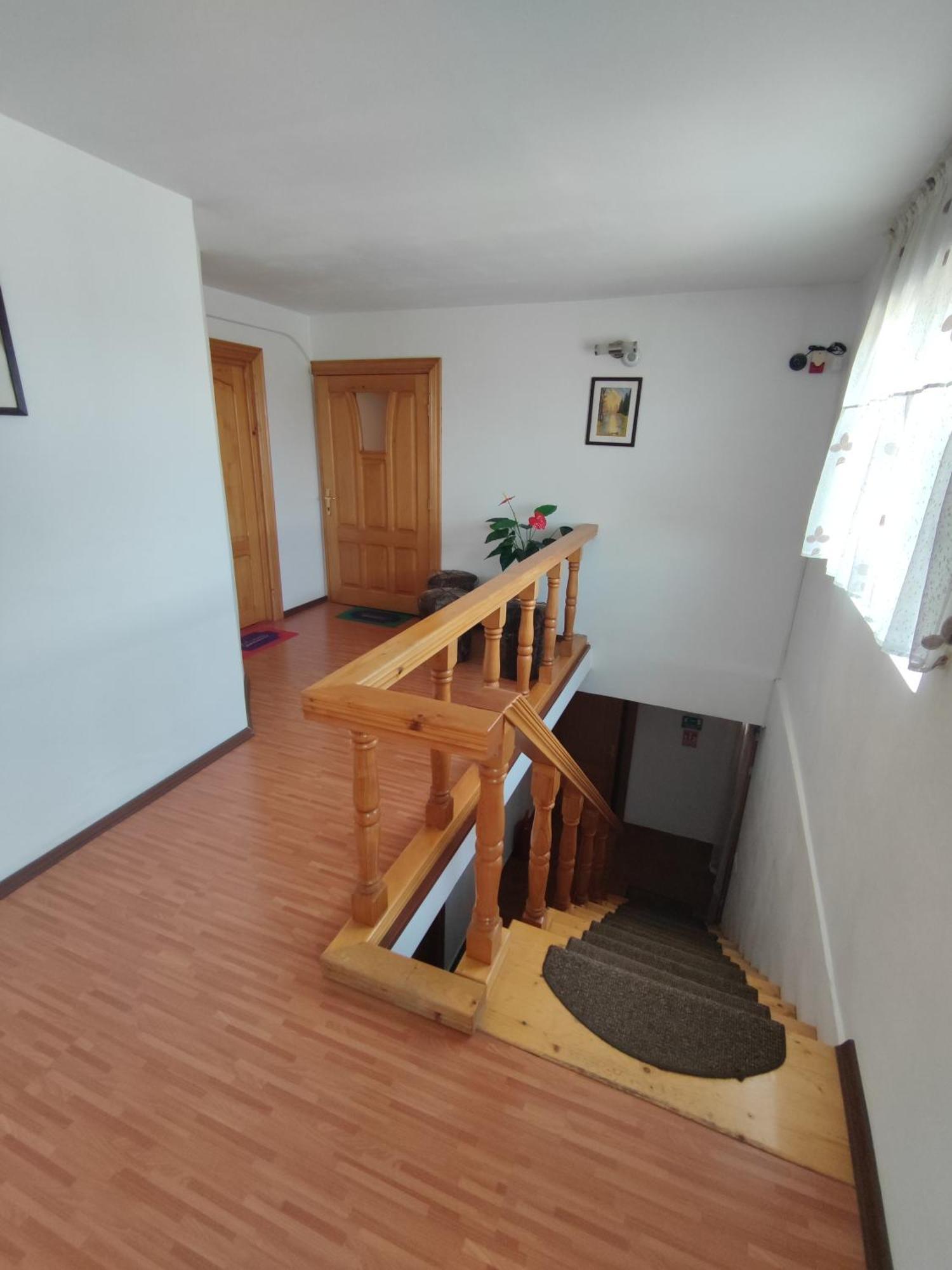 Camere De Inchiriat Edelweiss Dumbrava Roşie Dış mekan fotoğraf